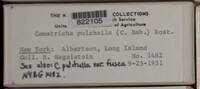 Image Associated With the Occurence